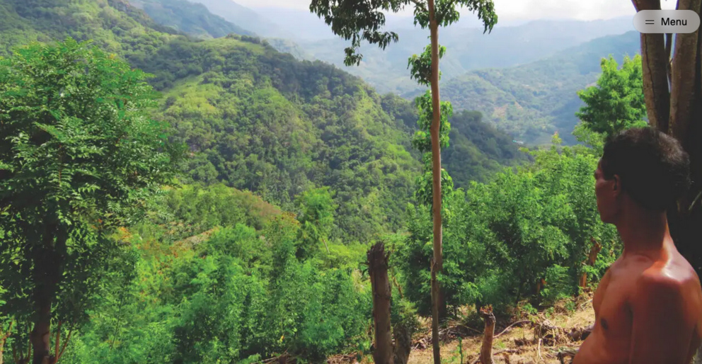 Lio community member Noko looks at a distant spot where he claims he and a cousin once saw the Flores Island ape-man.