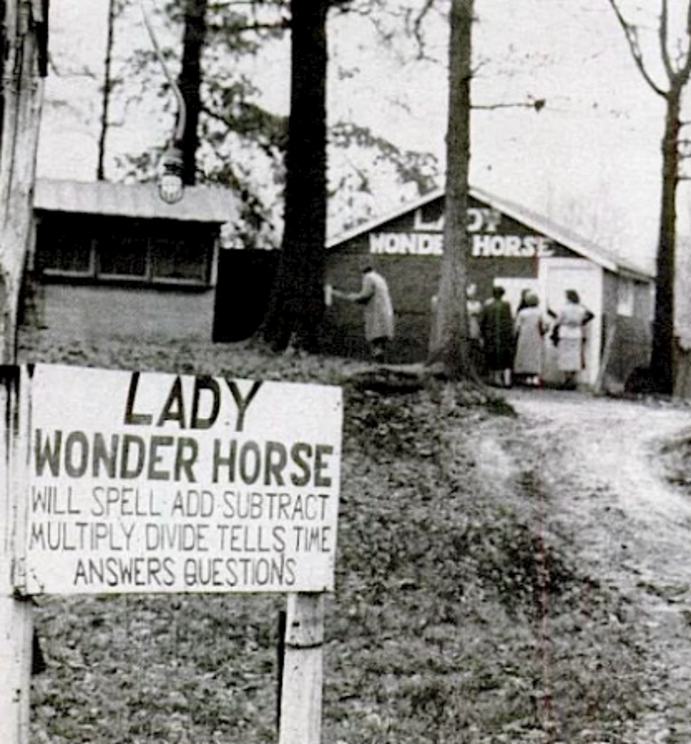 Sign for Lady Wonder.  Public Domain