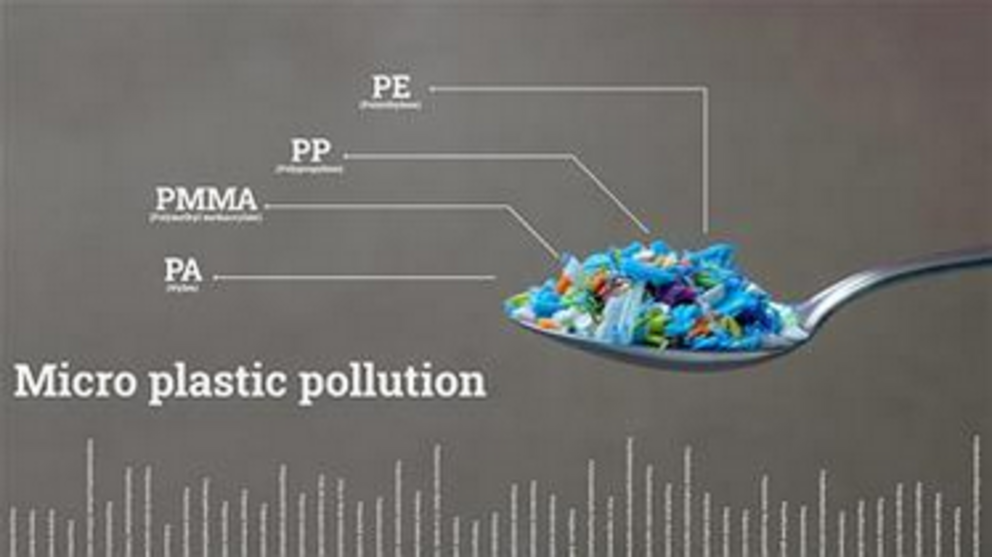 Plastic is everywhere now, including your brain Screen%20Shot%202023-05-12%20at%207.26.02%20am-1683840440742