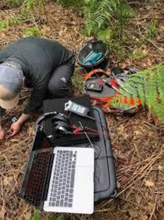 Setting up the ecoacoustics field trial.
