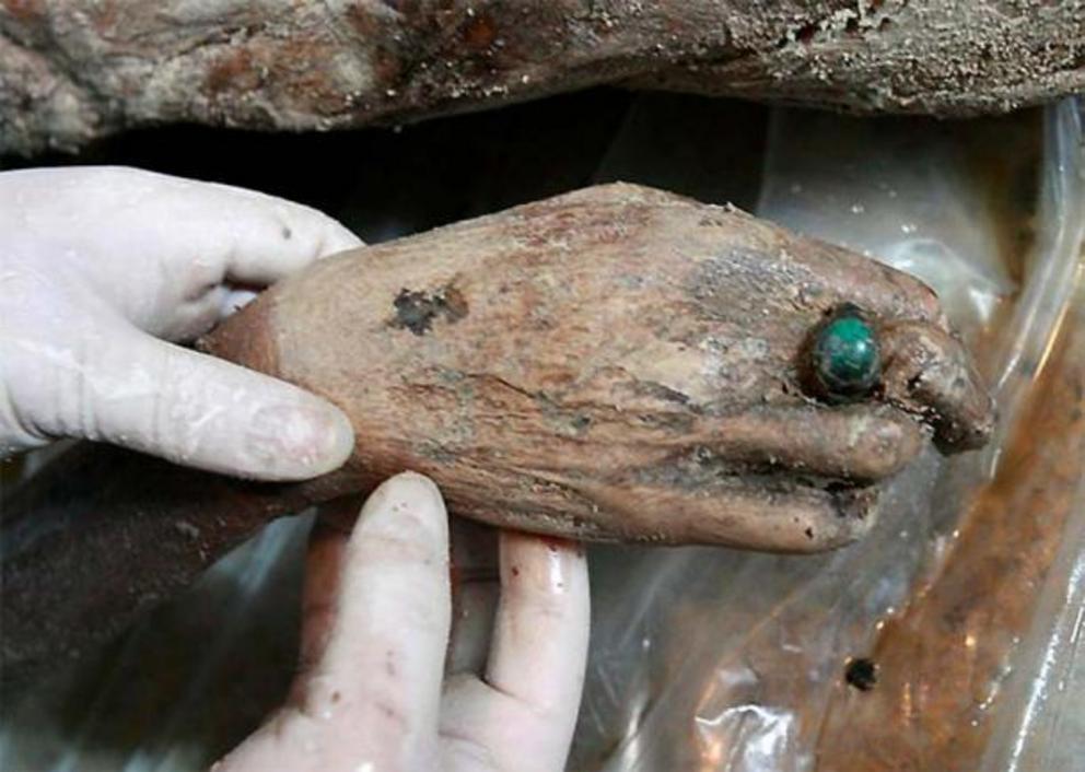 The hand of the Ming Dynasty Taizhou mummy, wearing a striking green ring.