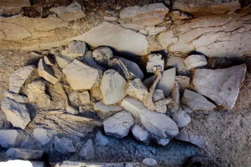 A skeleton buried in the added burial niches at the Piedras Blancas tomb.