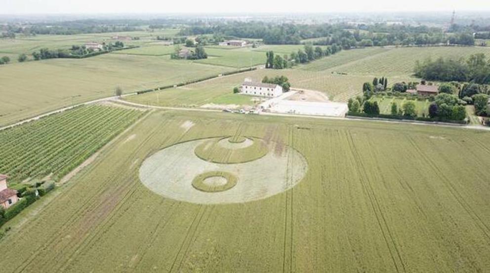 Crop Circles 2023 - Cascina San Michele, Nr Giulietta. Italy Reported 30th May It2-1685681992390