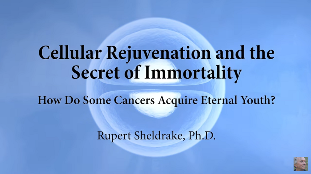 Cellular Immortality, a New Theory of Senescence and Rejuvenation Screen%20Shot%202023-06-01%20at%205.44.09%20am-1685562255717