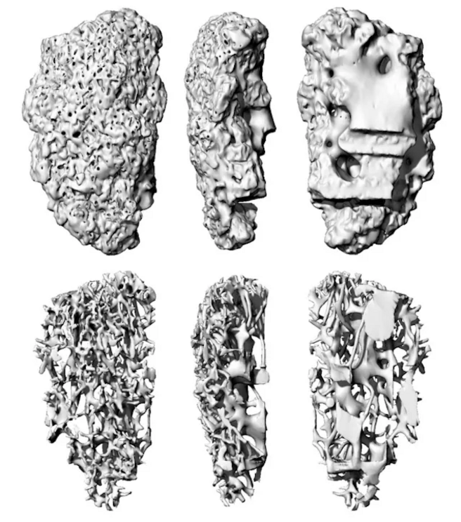 3D scan of fragment of the egress complex of Macrotermes michaelseni termites.