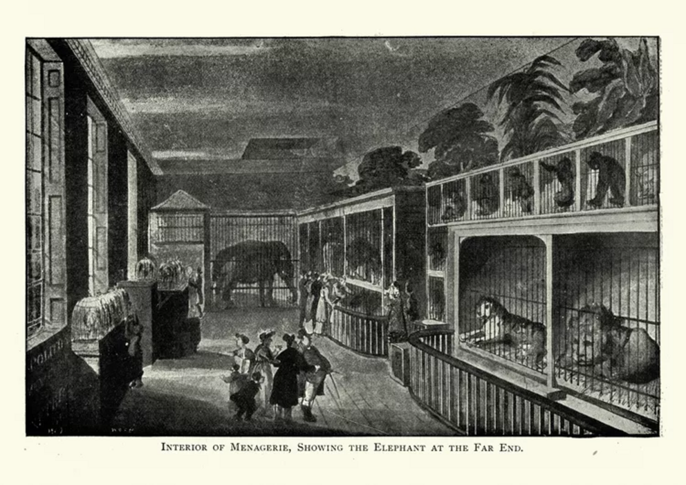 Menagerie of Mr Cross at Exeter Change, London, 1820s.