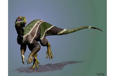 Newly discovered dinosaur, 'Iani,' was face of a changing planet