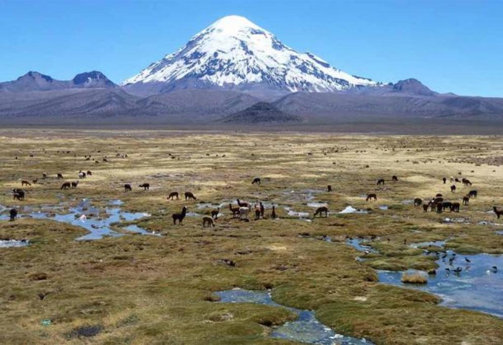 Experts believe that the Sajama Lines were created thousands of years ago, by scraping aside the rough vegetation to expose the lighter subsurface beneath.