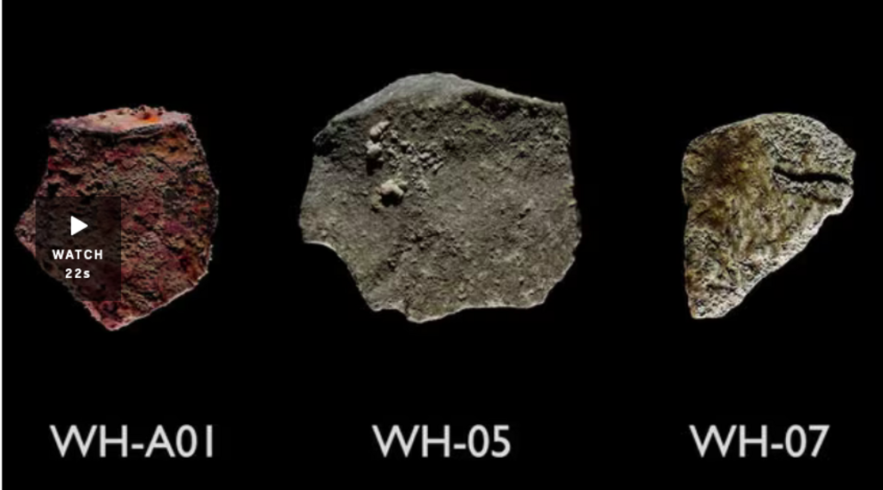 A 3D visual of the five ancient Aboriginal artefacts found off the Pilbara coast.(Supplied: Yaz Dedovic)