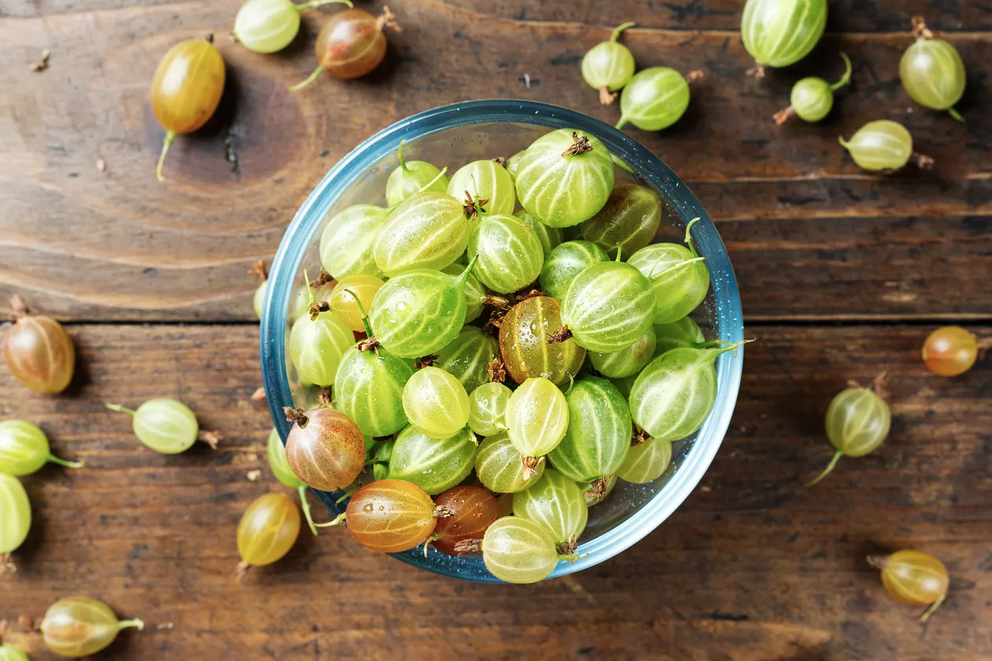 Gooseberries come in an array of colors, including green, yellow, pink, red and dark purple.