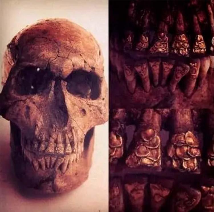 The formidable Bolinao Skull is only one of 67 skulls recovered from the Balingasay Archaeological Site in Bolinao, Pangasinan. They were found along with several Early Ming dynasty (1368-1644) ceramics.