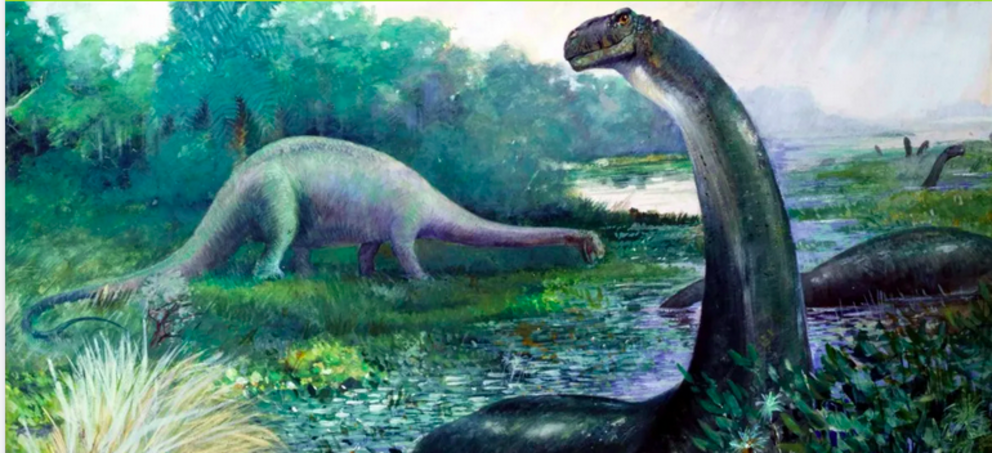 Drawings like Charles R Knight’s depiction of Brontosaurus as an aquatic animal (now an outdated view) may have spurred the rumors.Image credit: Charles R. Knight, Public Domain, via Wikimedia Commons