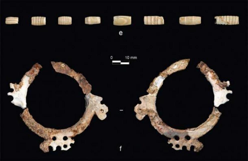 Tubular shell beads (e) and the mother-of-pearl engraved ring (f) which once made up the Neolithic necklace.