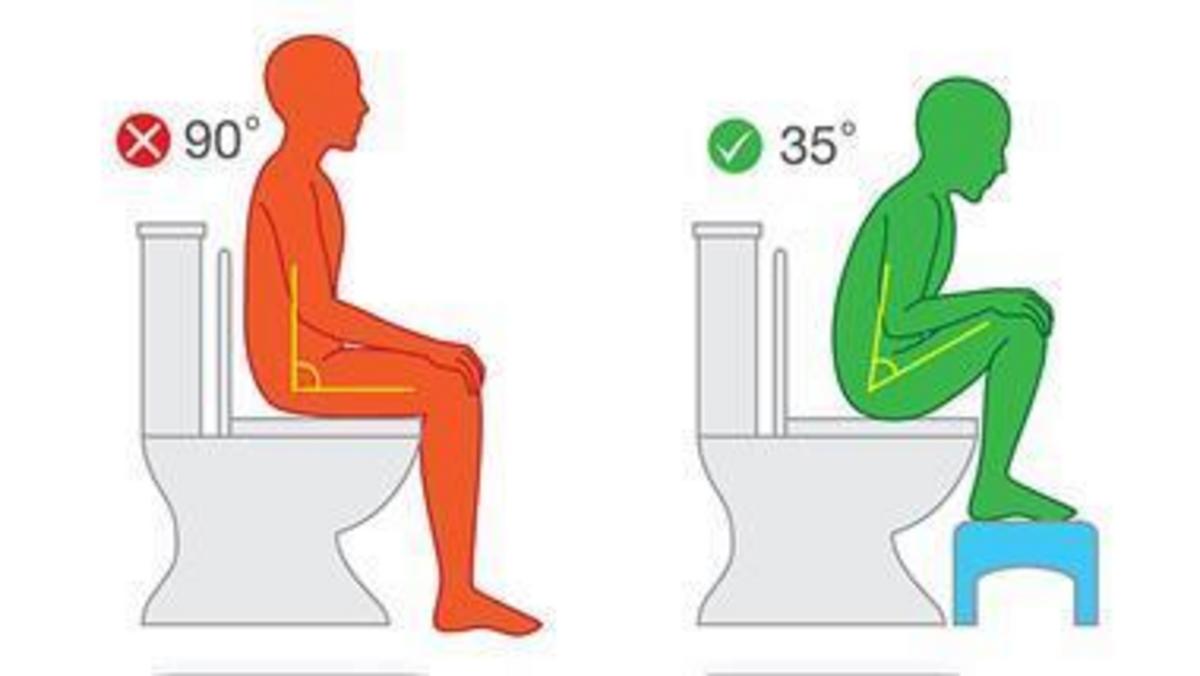 The perfect position to poop - Nexus Newsfeed