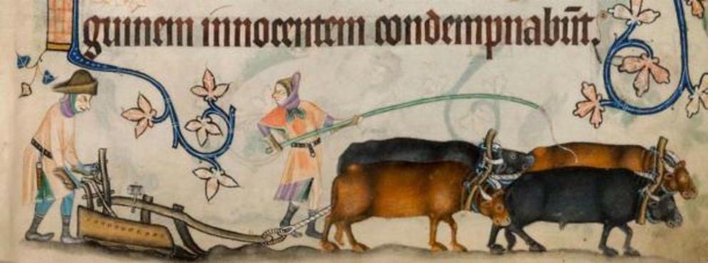 Serfdom was a form of slavery. Two serfs and four oxen operating one medieval agricultural plow, in the 14th-century illuminated manuscript, the Luttrell Psalter.