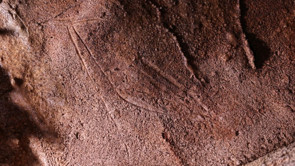 An engraved hind (female red deer) etched into the wall of the cave.