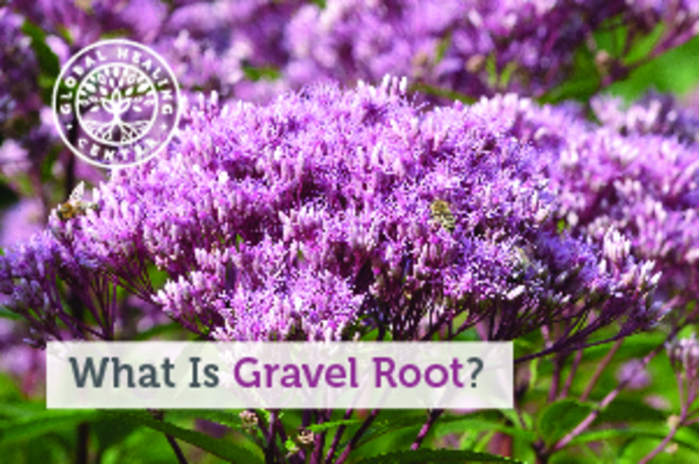 what-is-gravel-root-nexus-newsfeed