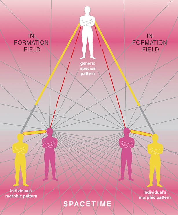 FIGURE 1: The above graphic illustrates the hypothesis that all people, including the healer and the patient, are embedded in a cosmic information field that connects people and conserves the trace of their thinking and acting. Every living system has his