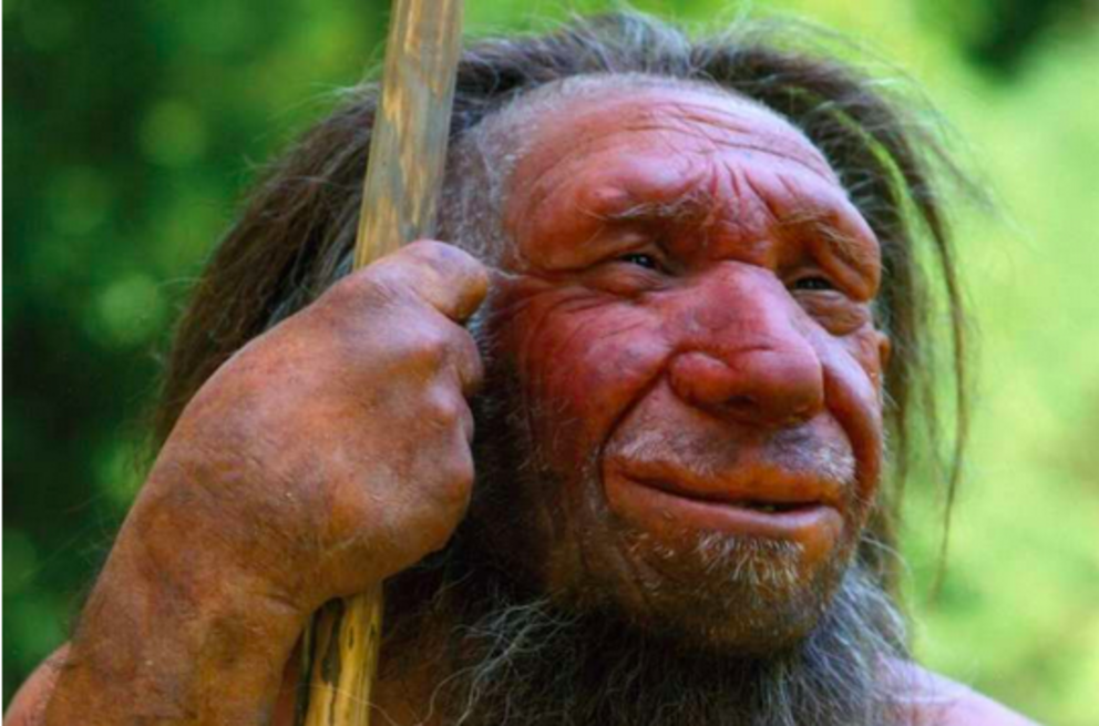 Neanderthal reconnstruction made by brother Kennis for Neanderthal Museum. Credit: Neanderthal Museum