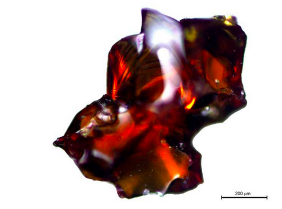 Shard of amber. Credit: M. Murillo-Barroso 