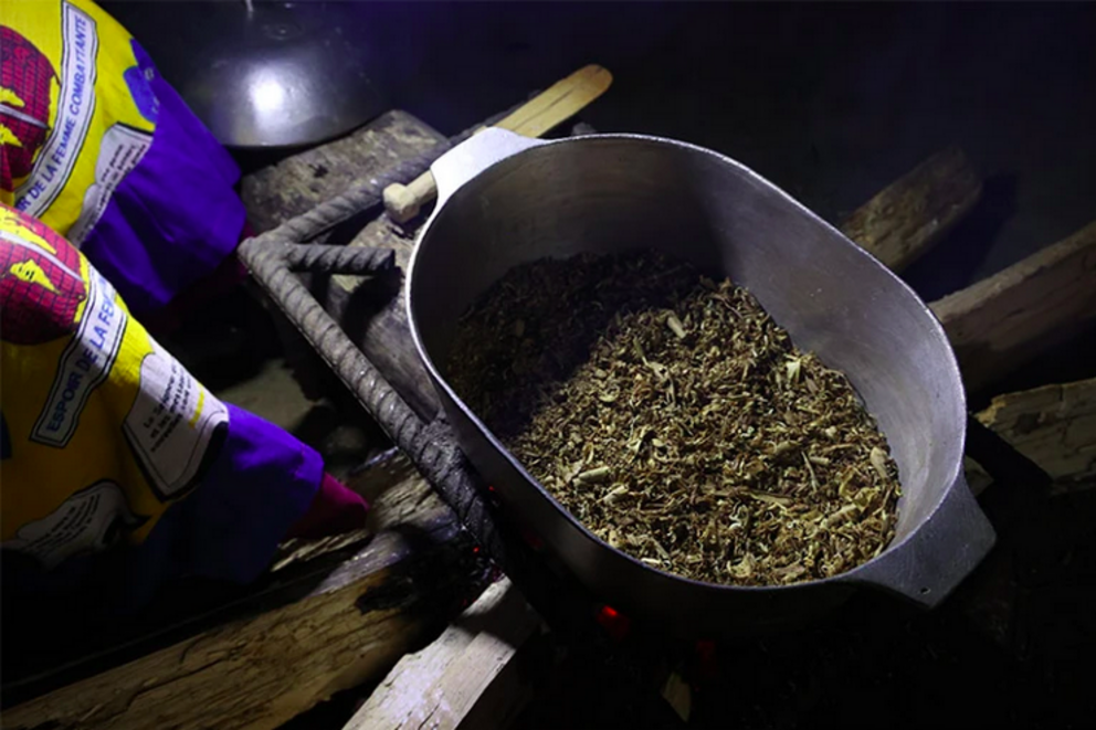 Shredded iboga root, the main ingredient in the psychedelic drug ibogaine, is prepared for use in a traditional ceremony in Gabon.Credit: Rachel Nuwer