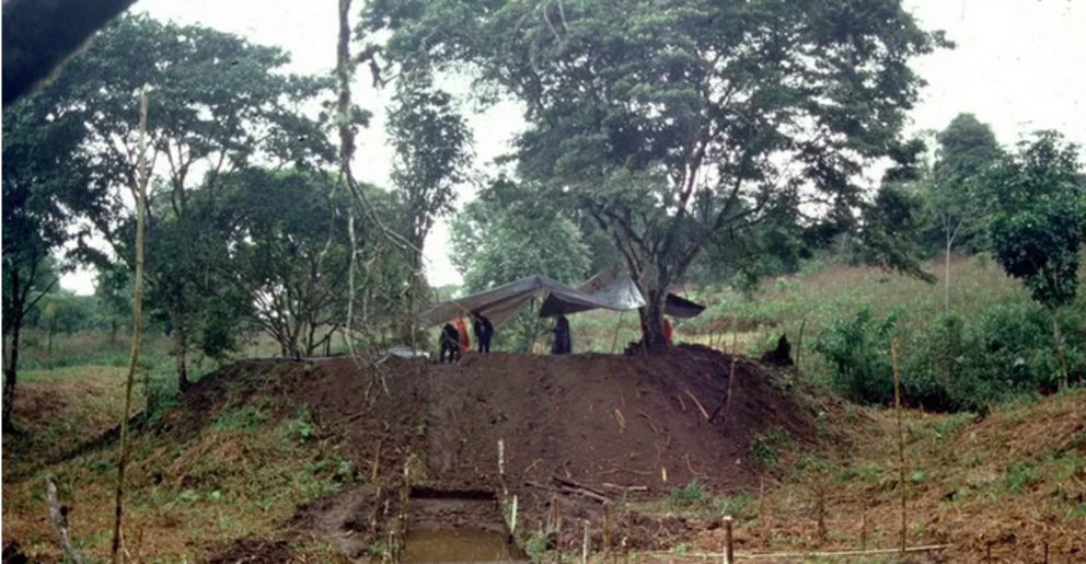  Scientists found evidence of 6,000 mounds thought to be the basis for ancient homes, Stephen Rostain