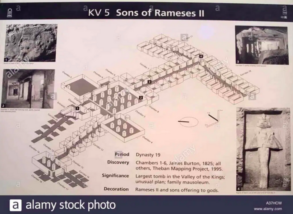 The secrets of KV5, the largest tomb ever found in Egypt - Nexus Newsfeed