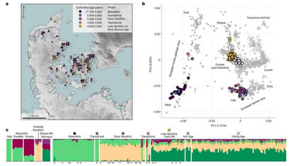 Overview of dataset. Credit: Nature (2024). DOI: 10.1038/s41586-023-06862-3