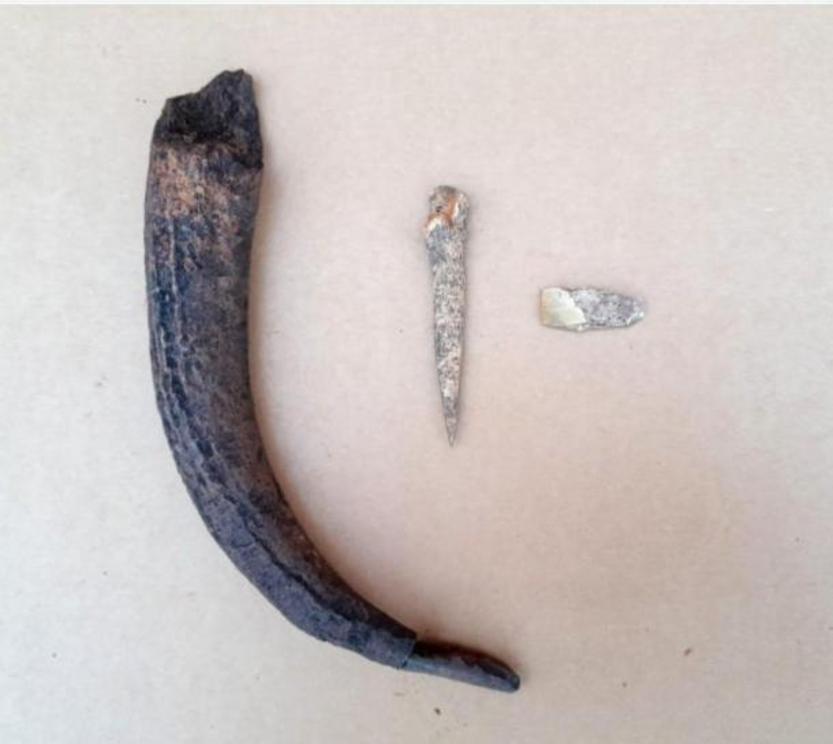 Discovering preserved horn and bone objects from this era is exceptionally rare, especially within the broader context of Funnelbeaker Culture sites in Sweden.