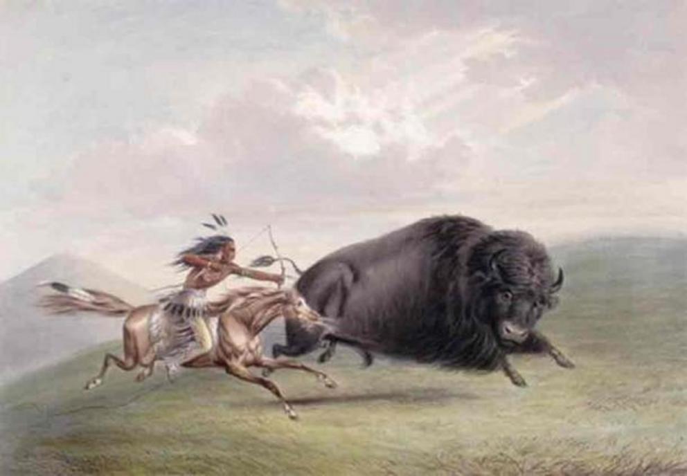 Bison hunting was crucial to the survival, culture and identity of the Sioux tribe.1844 Hunting Bison in USA by George Catlin.