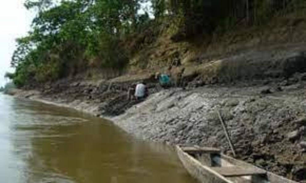 Aldo Benites-Palomino and his fellow paleontologists excavating a 13m-year-old outcrop on the Napo River during the 2018 expedition, when he found the new species.