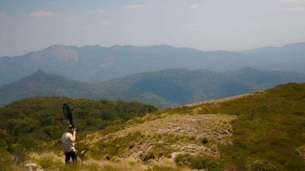 Looking over the Mabu Forest - the largest rainforest in Southern Africa by Christophe Bernier.