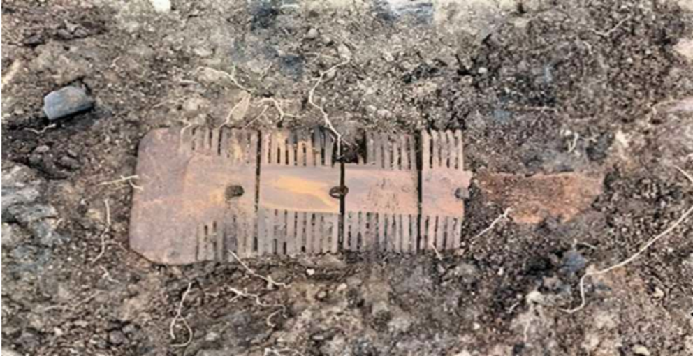 One of the bone combs discovered at Crowland. Credit: The Anchor Church Field project