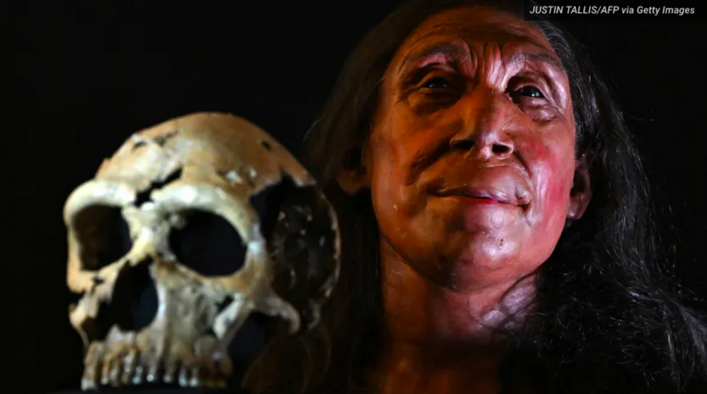 A picture shows the rebuilt skull and a physical reconstruction of the face and head, of a 75,000-year-old Neanderthal woman, named Shanidar Z.JUSTIN TALLIS/AFP via Getty Images