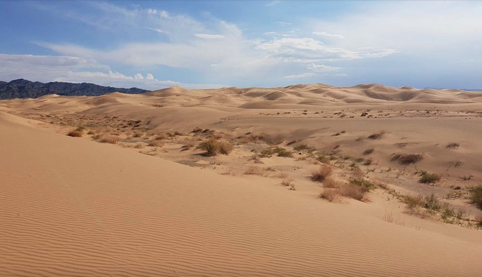 The Mongolian death worm is said to stalk the vast Gobi desert. Richard Mortel/CC BY 2.0 DEED