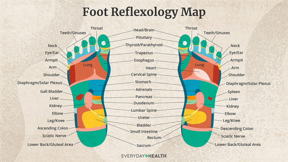 This graphic shows reflexology points on the feet, which in theory, correspond to other parts of the body and when pressed or massaged, may promote healing.