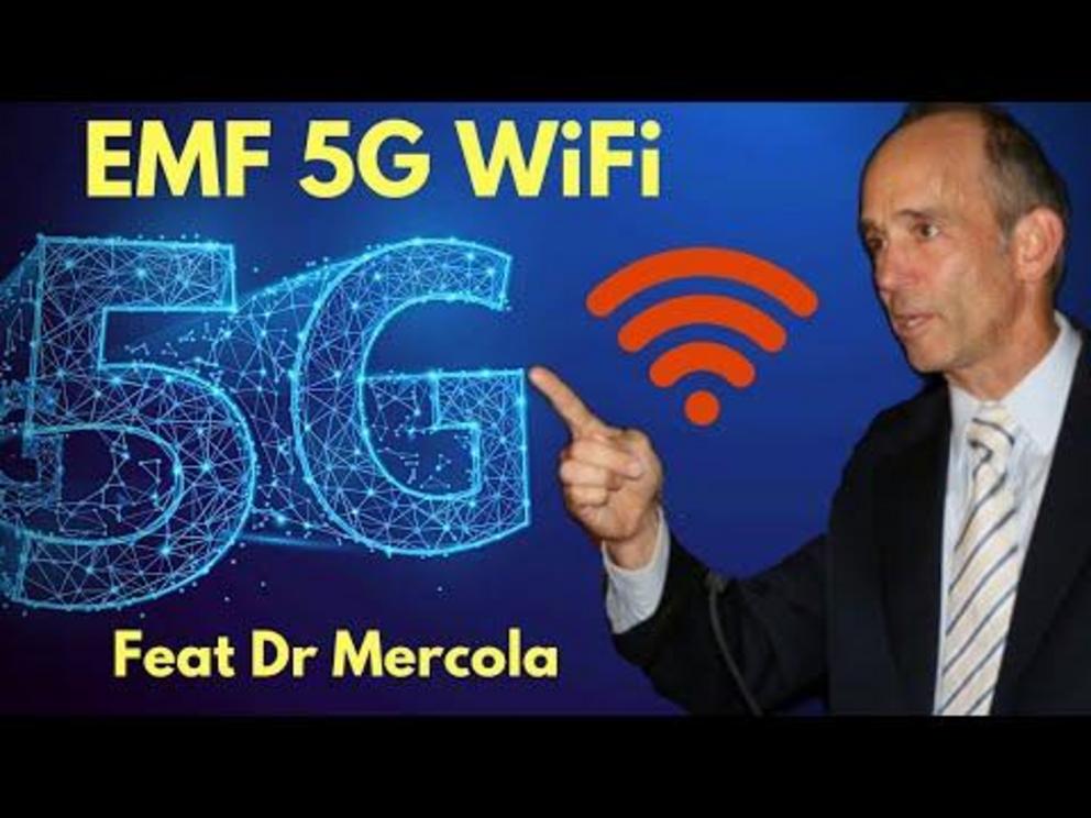 Ten new studies detail health risks of 5G - Nexus Newsfeed