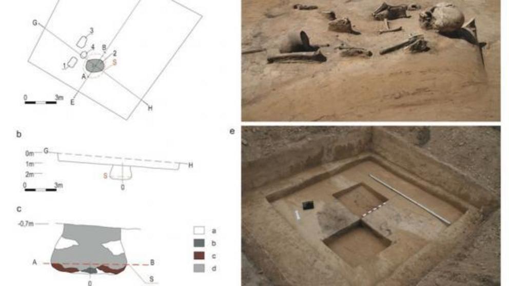 A map of the excavation site as well as images of the burial.