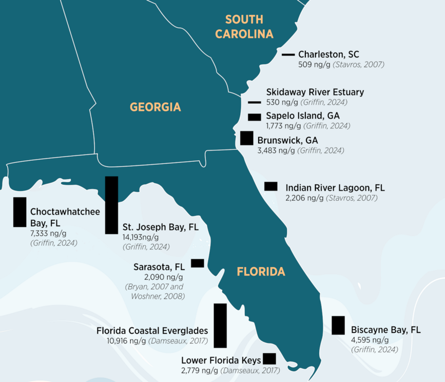 Scientists have found elevated mercury levels in dolphins throughout the Southeast since 2007.