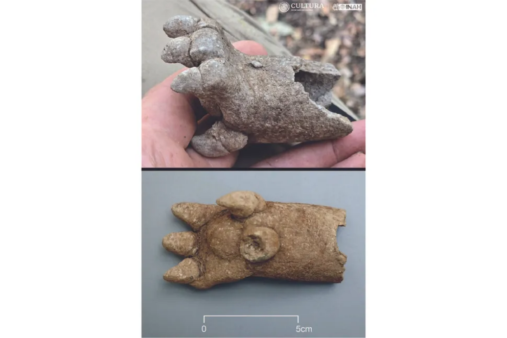 A ceramic fragment depicting the paw of an animal was found at the top of a Maya pyramid.