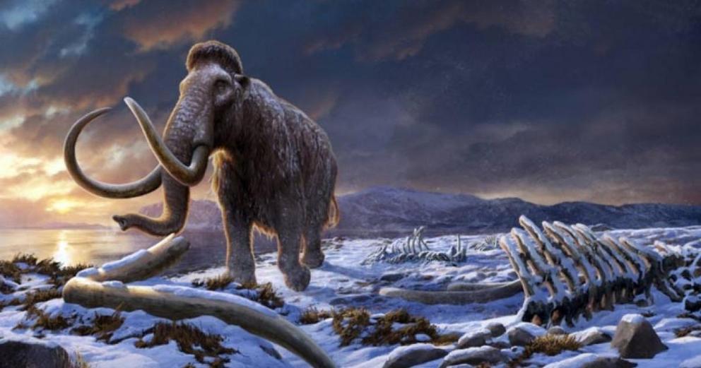 Scientists create highly detailed 3D model of extinct woolly mammoth ...