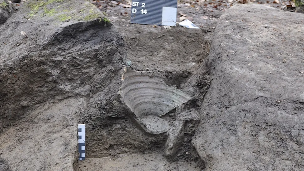 The remains of the ceramic pot, which contained the hoard.