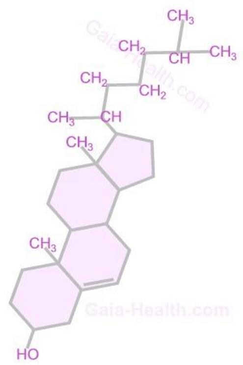 Cholesterol Molecule