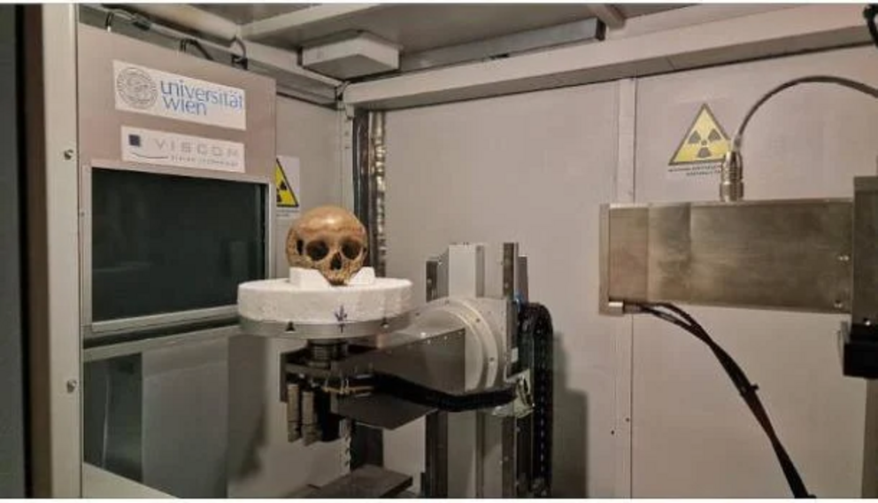 Skull found in Octagon at Ephesos being scanned in the University of Vienna’s Macro-CT Lab.