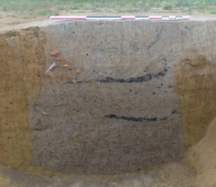 Cross-sectional view of underground silo used to store grain at medieval settlement in Brittany, France.