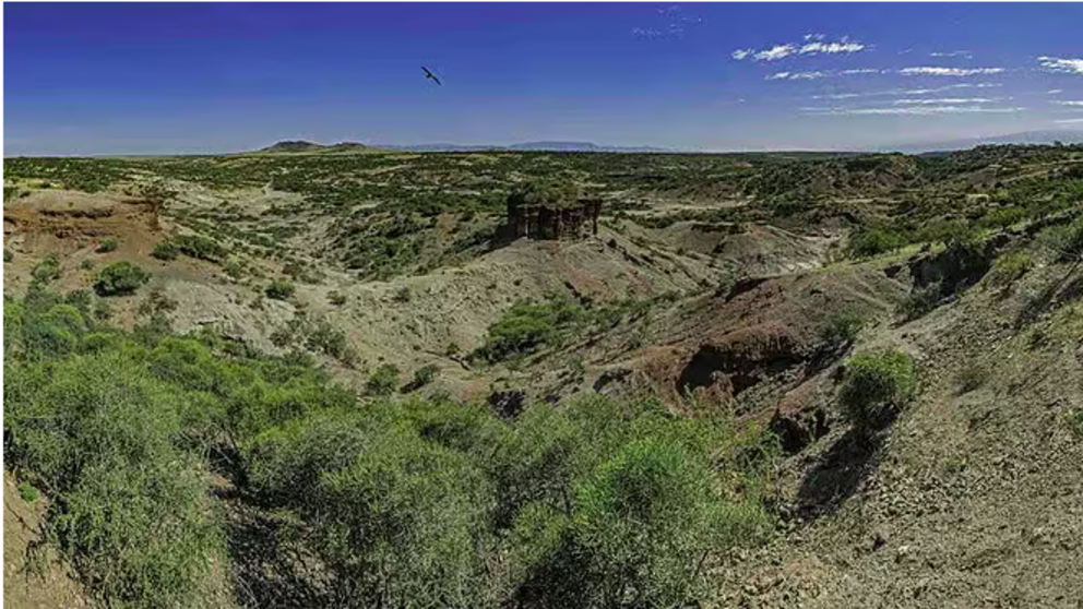 Olduvai Gorge, paleoanthropolocial site, Ngorongoro Conservation Area, United Republic of Tanzania. Credit: Gerald Corsi / iStock / Getty Images Plus.