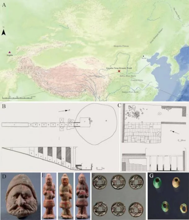 A. Geographical location of the Guyuan Tang Dynasty tomb. B. Plan of the Guyuan Tang Dynasty tomb. C. The skeletal remains within Guyuan Tang Dynasty tomb. D. The figurine of Sogdian found in the tomb E. The figurine of Samurai recovered from the tomb. F.