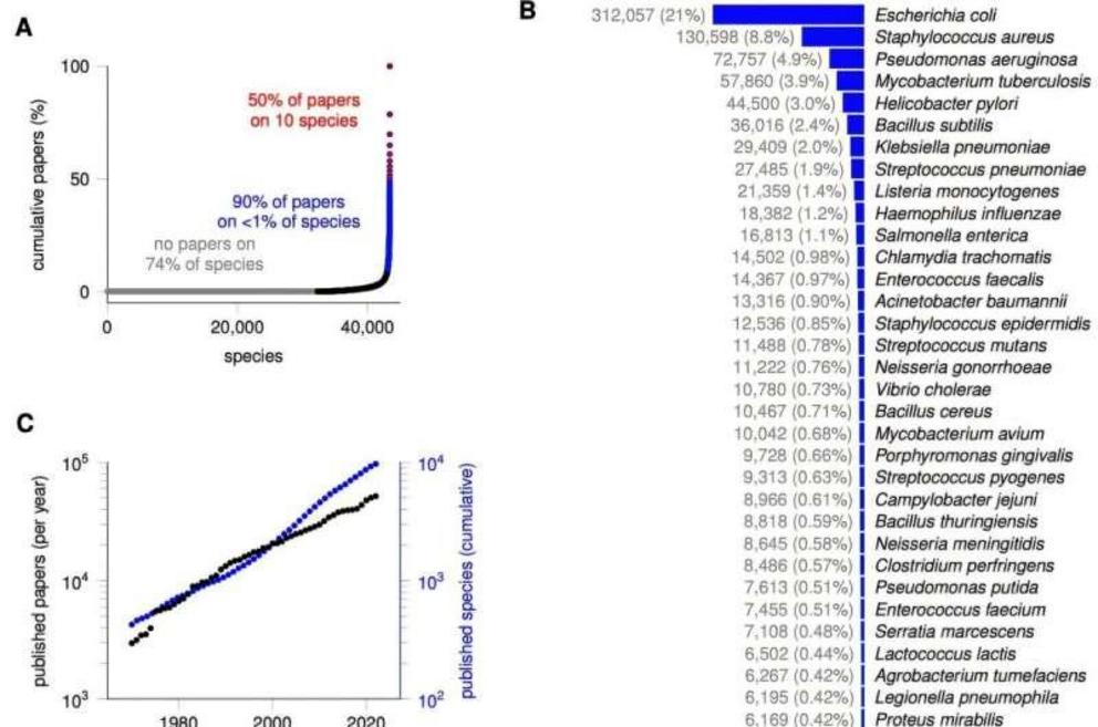 A. Most species of bacteria have never been the subject of a scientific paper. We counted how many papers in the PubMed database (up to November 1, 2024) reference on each of 43,409 species of bacteria in their title or abstract. B. Publications are uneve